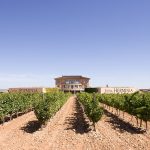 Viñedos