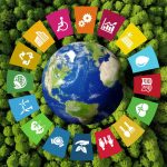 Desarrollo sostenible y personas con discapcacidad