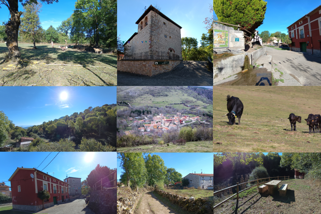 Collage Pazuengos