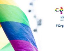 Diversidades sexuales, diversidades humanas