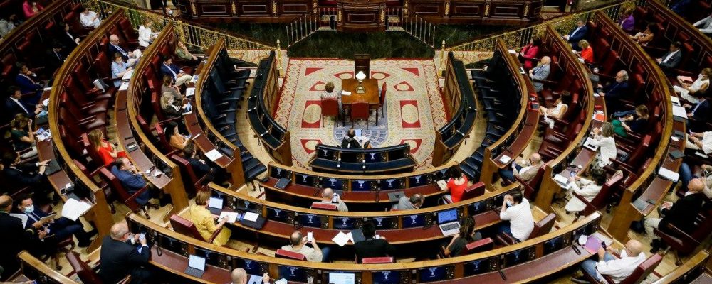El CERMI La Rioja considera “una estafa política” que el parlamento no haya conseguido aprobar una propuesta social para la reconstrucción