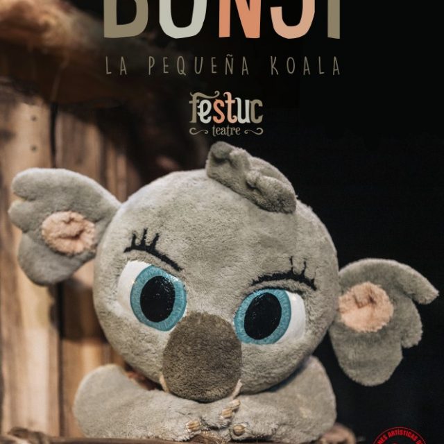 Bunji, la pequeña koala