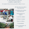 Curso de Trabajos en cadena de producción