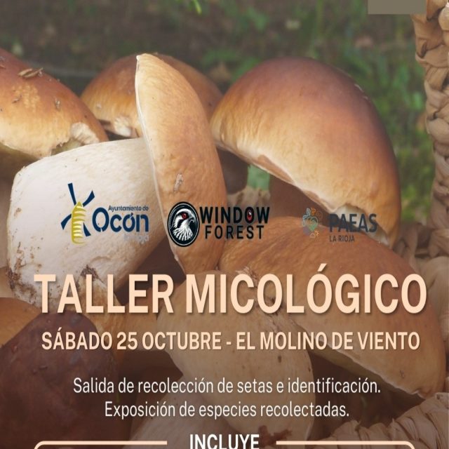 Taller micológico