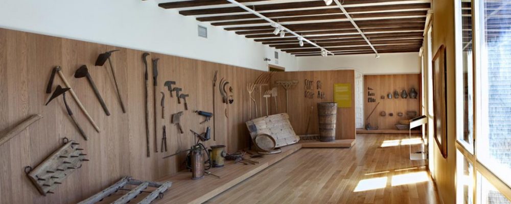 Salida Cultural- Museo de La Rioja