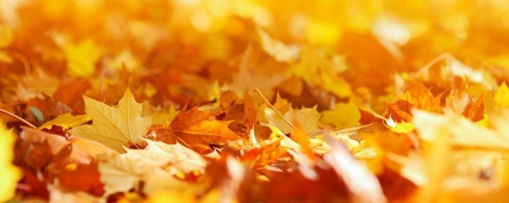 Calendario Octubre 2025