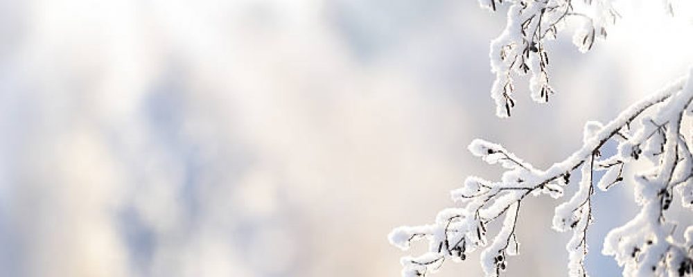 Calendario Actividades Febrero