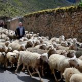 Brieva de Cameros