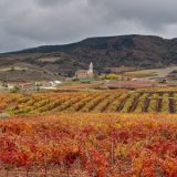 Ventosa