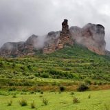 Viguera