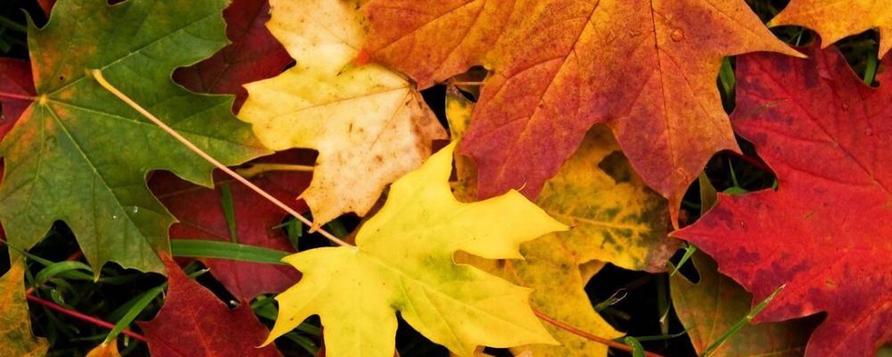 Calendario Octubre